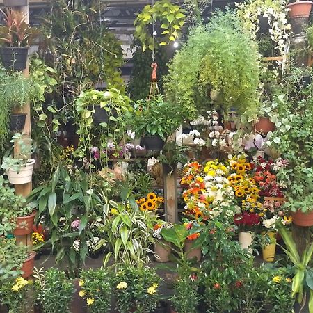Apartamento Parque Jardim Europa Rio de Janeiro Dış mekan fotoğraf