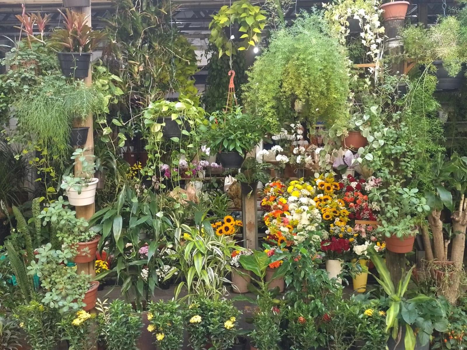 Apartamento Parque Jardim Europa Rio de Janeiro Dış mekan fotoğraf