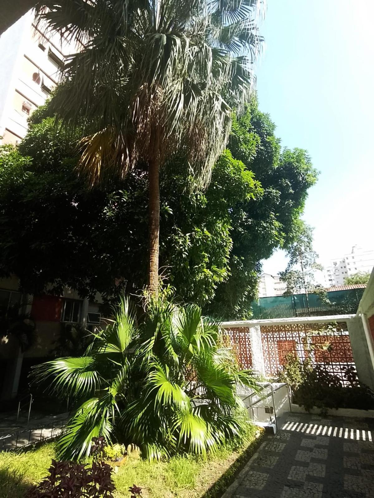 Apartamento Parque Jardim Europa Rio de Janeiro Dış mekan fotoğraf