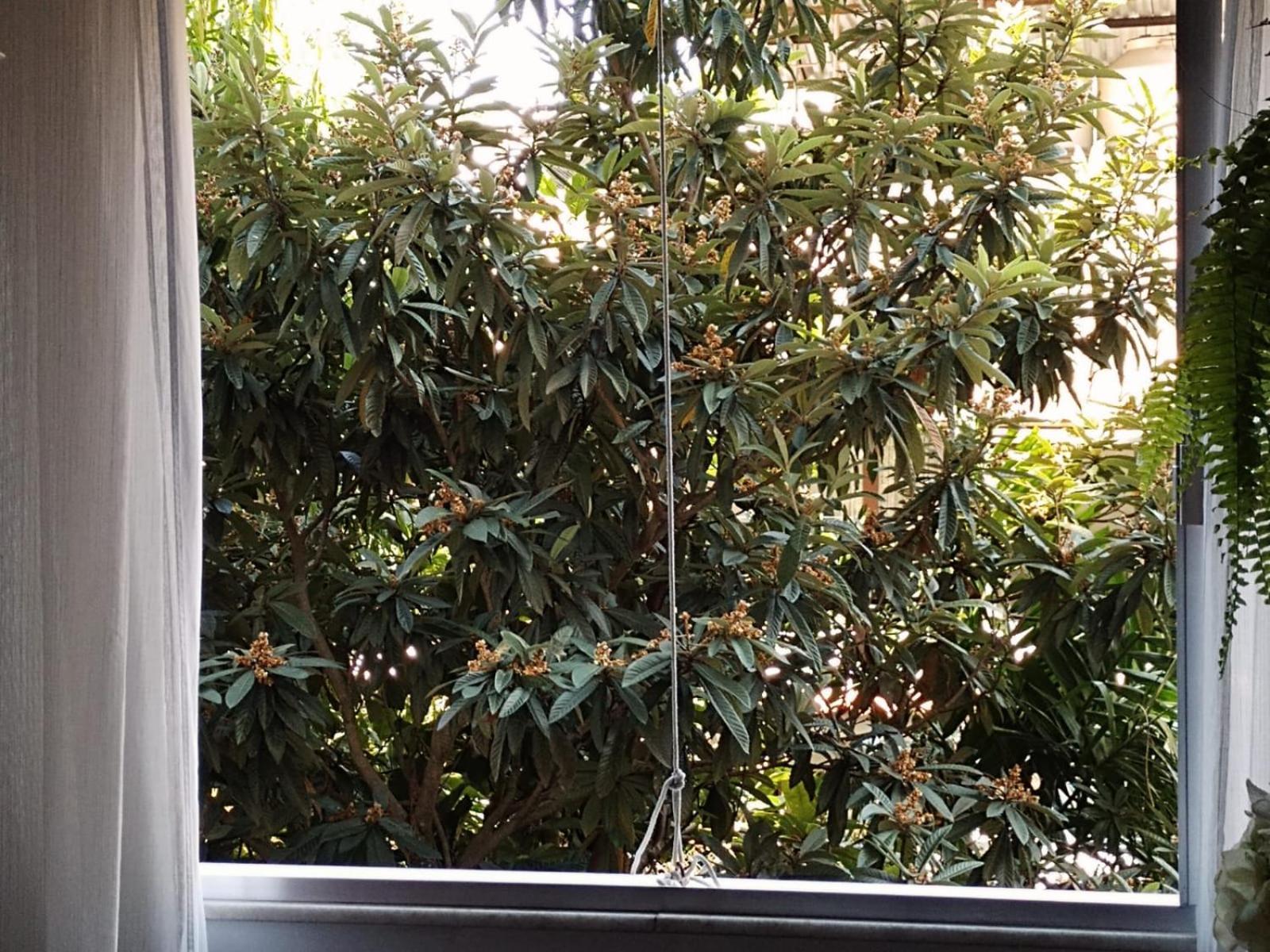 Apartamento Parque Jardim Europa Rio de Janeiro Dış mekan fotoğraf